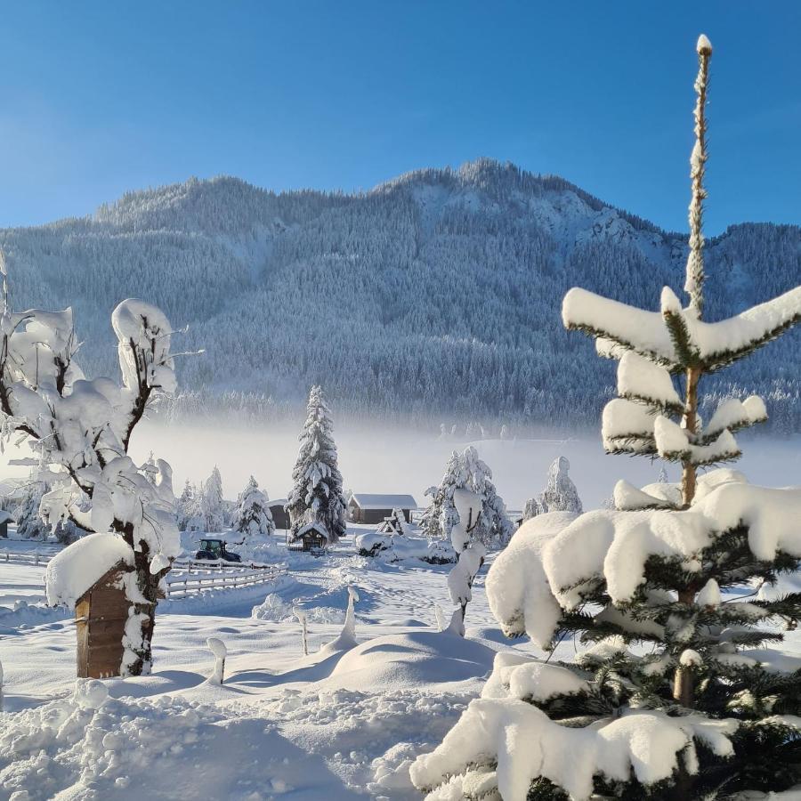 Hotel Winkler-Tuschnig Вайсензе Екстер'єр фото